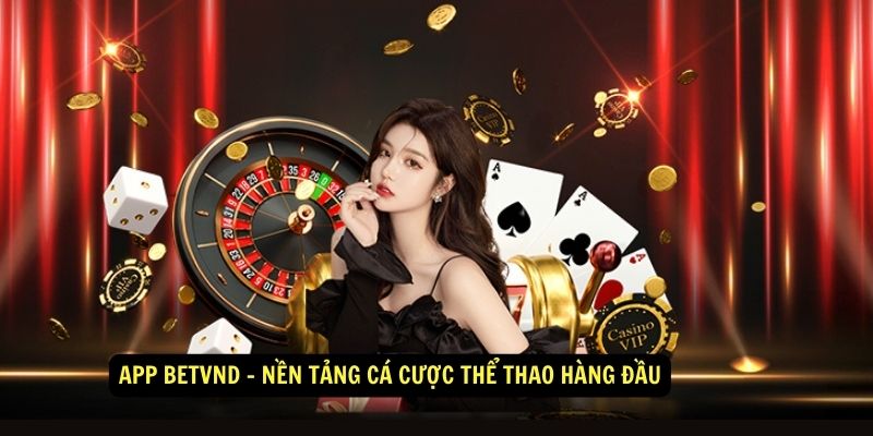 App Betvnd - Nền tảng cá cược thể thao hàng đầu