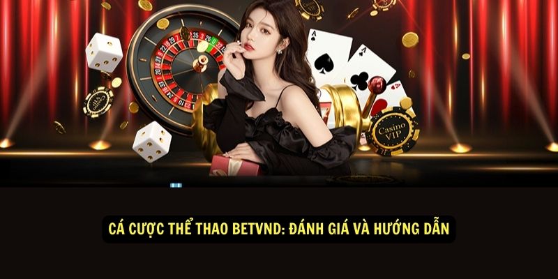 Cá cược thể thao Betvnd: Đánh giá và hướng dẫn